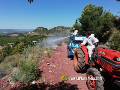 Fotografia /Galeria/2020/5/195622_121343/6_M1.jpg