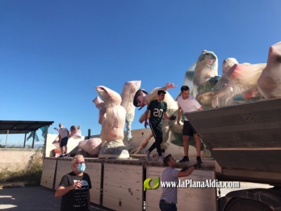 Fotografia /Galeria/2020/7/195909_121584/3_M1.jpg