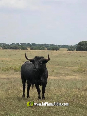 Fotografia /Galeria/2020/7/195935_121608/2_M1.jpg