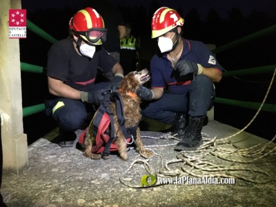 Rescatan un perro en la presa del embalsa de L'Alcora