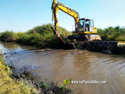 Almenara realiza tareas de mejora y mantenimiento en acequias y canales de la Marjal
