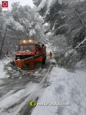 Fotografia /Galeria/2021/1/197026_122574/3_M1.jpg