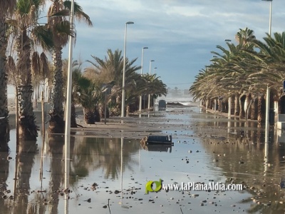 Fotografia /Galeria/2021/1/197042_122578/2_M1.jpg