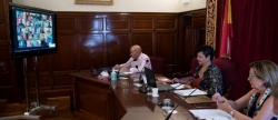 la-diputacio-de-castello-recupera-la-via-telematica-per-als-plens-i-les-comissions-com-a-mesura-de-proteccio-enfront-de-la-covid-19