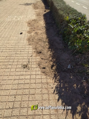 Fotografia /Galeria/2021/1/197088_122615/2_M1.jpg