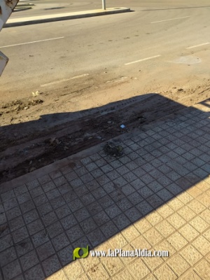 Fotografia /Galeria/2021/1/197088_122615/3_M1.jpg