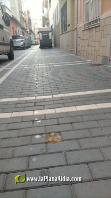 Fotografia /Galeria/2021/1/197192_122700/2_M1.jpg