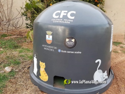El Ayuntamiento de Moncofa adaptar contenedores como refugios para gatos para garantizar su control y limpieza