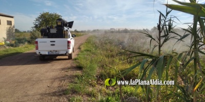 Almenara refuerza el tratamiento contra los mosquitos