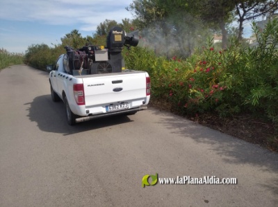 Fotografia /Galeria/2021/10/198879_124149/2_M1.jpg