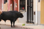 La Vall mostra el seu poder taur?