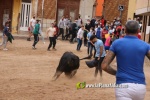 La Vall mostra el seu poder taur?