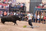 Nules vibra amb els bous que no volia l'alcalde