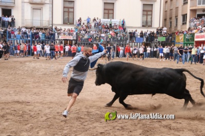 Nules vibra amb els bous que no volia l'alcalde