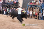 Nules vibra amb els bous que no volia l'alcalde