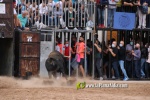 Nules vibra amb els bous que no volia l'alcalde