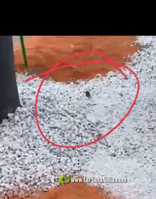 Fotografia /Galeria/2021/10/198927_124214/2_M1.jpg