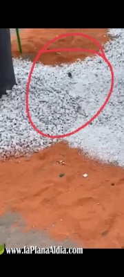 Fotografia /Galeria/2021/10/198927_124214/3_M1.jpg