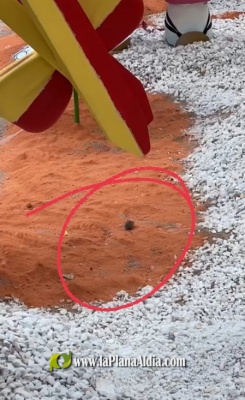 Fotografia /Galeria/2021/10/198927_124214/4_M1.jpg