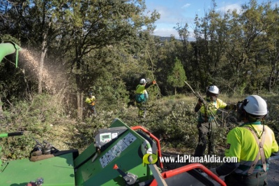 Fotografia /Galeria/2021/10/198943_124229/3_M1.jpg