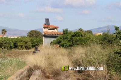 Fotografia /Galeria/2021/10/198953_124236/2_M1.jpg