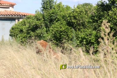 Fotografia /Galeria/2021/10/198953_124236/3_M1.jpg