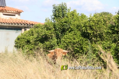 Fotografia /Galeria/2021/10/198953_124236/4_M1.jpg