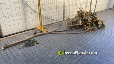 Fotografia /Galeria/2021/12/199191_124458/4_M1.jpg