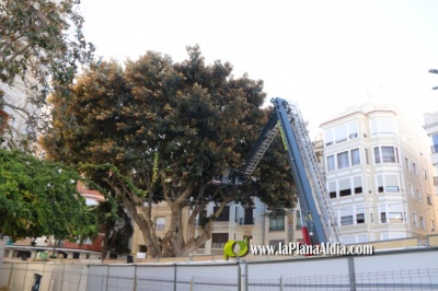 Fotografia /Galeria/2021/12/199191_124458/6_M1.jpg