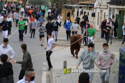 Santa Brbara vibra con el 'bou en corda' que Aparisi quiso suspender