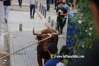 Fotografia /Galeria/2021/12/199192_124459/4_M1.jpg