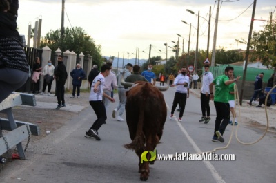 Fotografia /Galeria/2021/12/199192_124459/5_M1.jpg