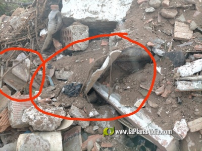 Fotografia /Galeria/2021/2/197330_122814/4_M1.jpg