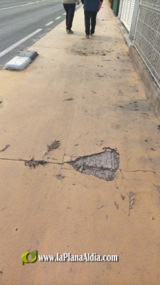 Fotografia /Galeria/2021/2/197450_122906/2_M1.jpg