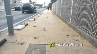 Fotografia /Galeria/2021/2/197450_122906/4_M1.jpg