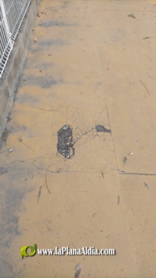 Fotografia /Galeria/2021/2/197450_122906/5_M1.jpg