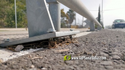 Fotografia /Galeria/2021/2/197467_122918/2_M1.jpg