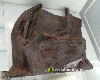 Fotografia /Galeria/2021/2/197506_122950/3_M1.jpg