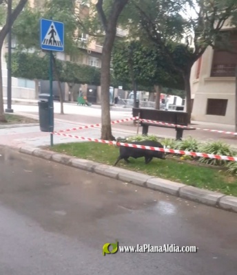 Fotografia /Galeria/2021/2/197527_122965/2_M1.jpg