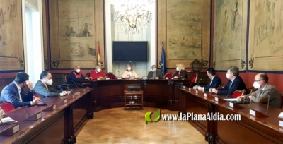 El PP de Vila-real defiende en Madrid la urgencia de autorizar los fitosanitarios para luchar contra la plaga del Cotonet