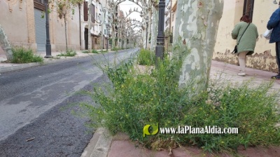 Fotografia /Galeria/2021/4/197800_123192/2_M1.jpg