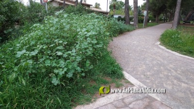 Fotografia /Galeria/2021/4/197800_123192/3_M1.jpg