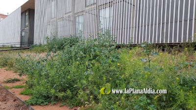 Fotografia /Galeria/2021/4/197800_123192/4_M1.jpg