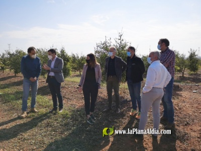 El Ayuntamiento de la Vall dUix y la Conselleria de Agricultura visitan las fincas de ctricos afectadas por la granizada
