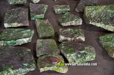 Fotografia /Galeria/2021/5/197878_123264/4_M1.jpg