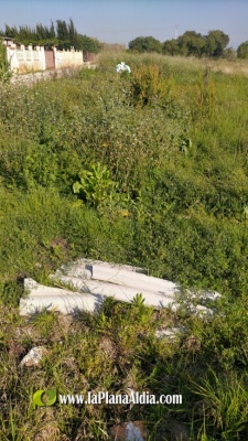 Fotografia /Galeria/2021/5/197891_123273/4_M1.jpg