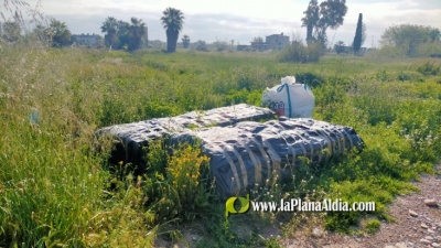 Fotografia /Galeria/2021/5/197891_123273/6_M1.jpg