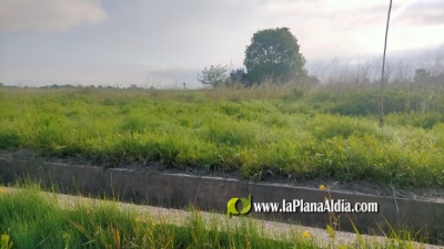 Fotografia /Galeria/2021/5/197931_123313/3_M1.jpg