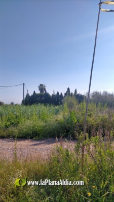 Cada cm de tierra de los viales de golf Sant Gregori vale 350.000 €