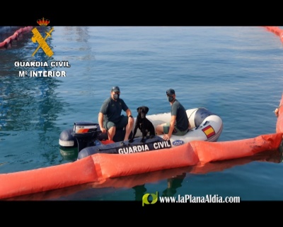 Fotografia /Galeria/2021/6/198115_123471/2_M1.jpg